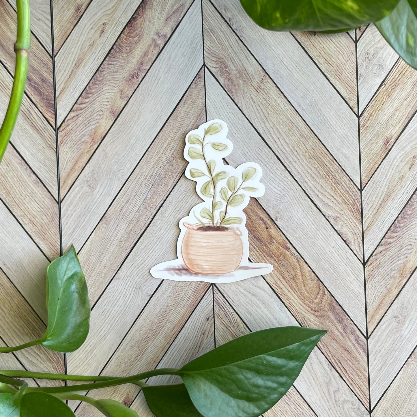 Fiddle Leaf Fig Sticker