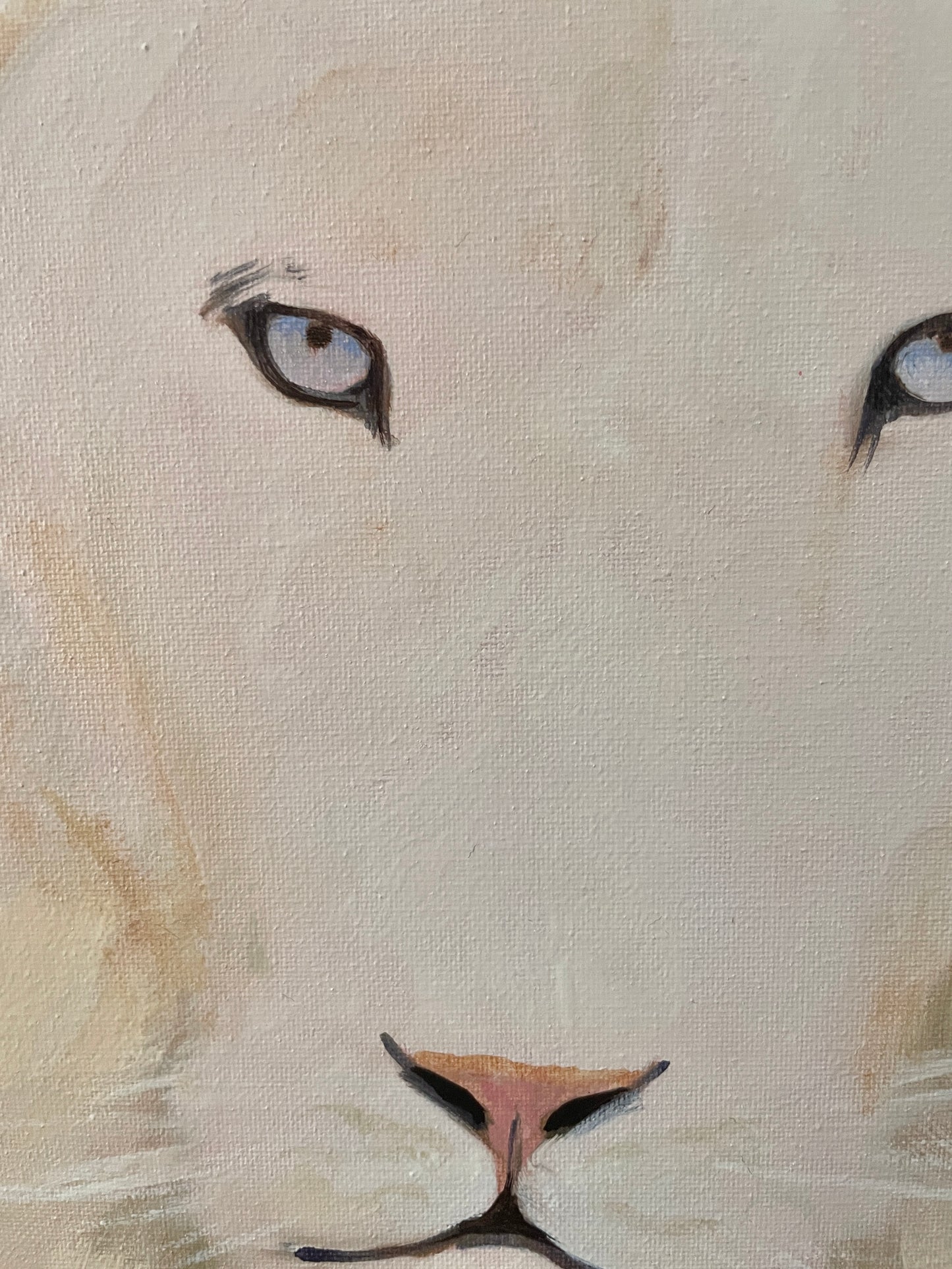 White Lion